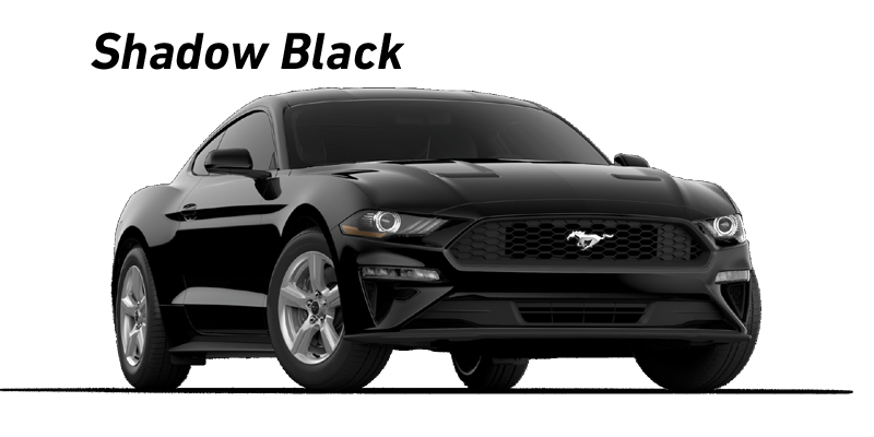 Shadow Black